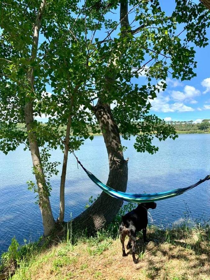 Lake House I Pioppi Nepi Dış mekan fotoğraf